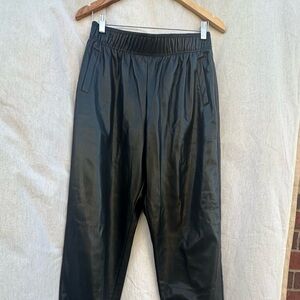 Anthropologie Avec Les Filles Jogger Moto Dark Academia Zip Ankle Stretch Sz M